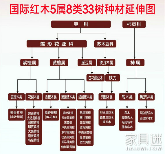 家具頭條|非洲酸枝和東非酸枝是紅木嗎？必須不是！